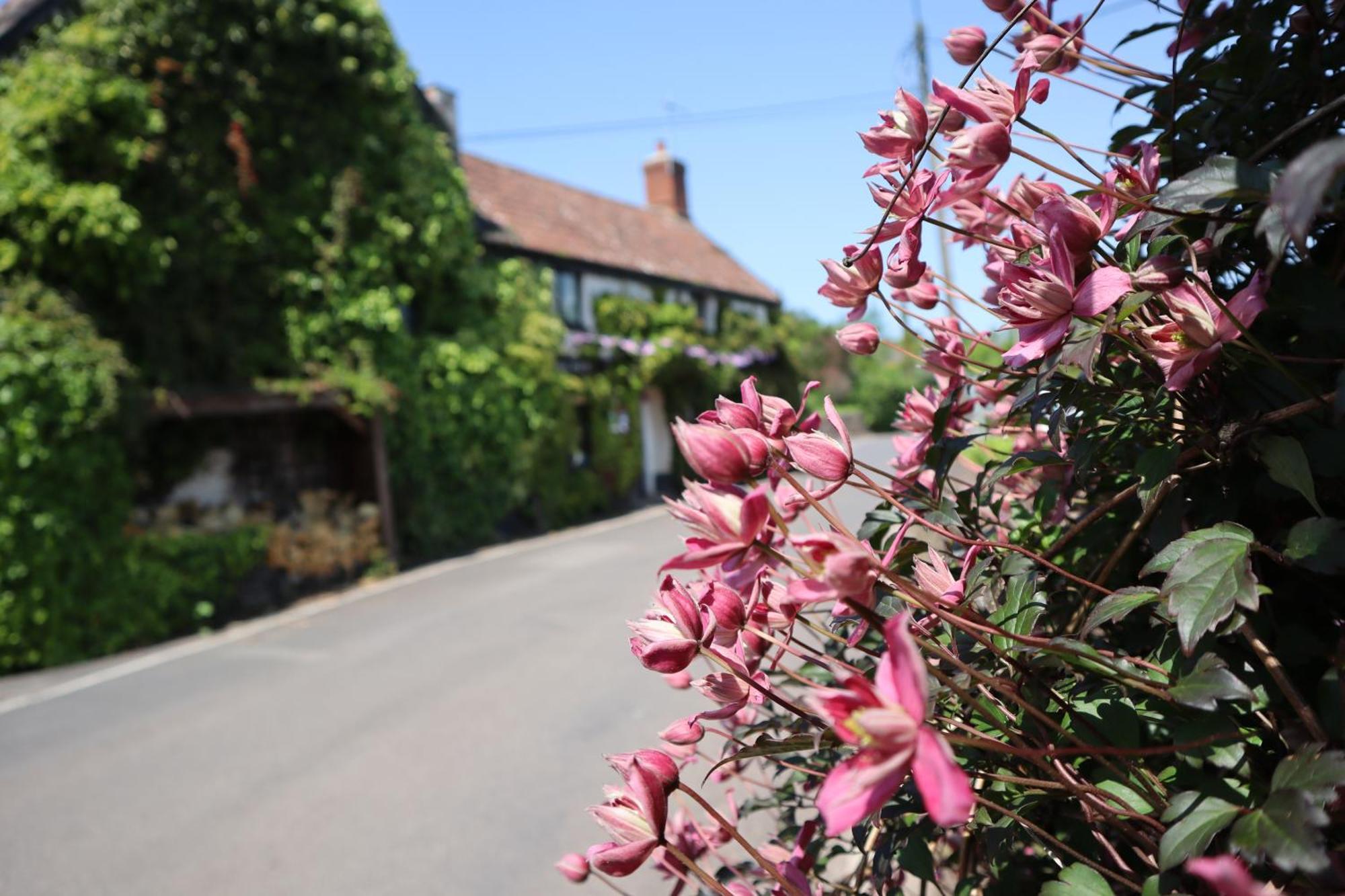 The White Horse Inn ワッシュフォード エクステリア 写真